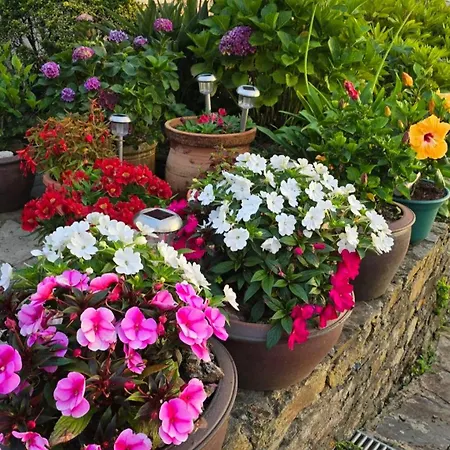 Casa Golmar 20 Semesterbostad Cedeira