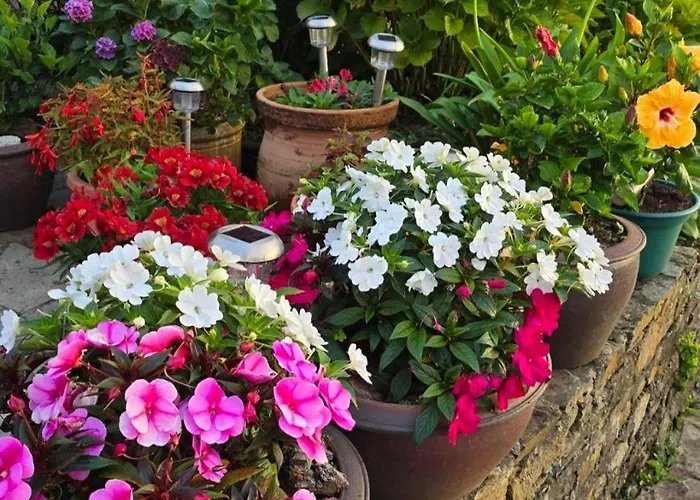 Casa Golmar 20 Tatil Evi Cedeira